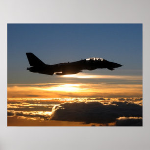 F-14D Tomcat Poster