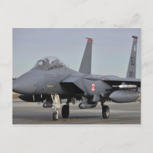 F-15E Strike Eagle Postcard