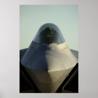 F-22 Raptor