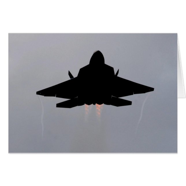 F-22 STEALTH FIGHTER (Front Horizontal)
