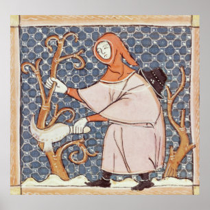 F.58v March: Pruning trees Poster