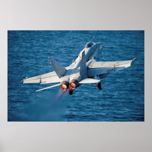 F/A-18C Hornet Poster (Front)