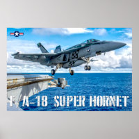 F/A-18E SUPER HORNET