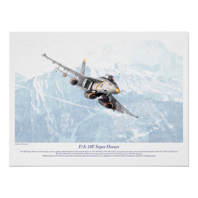 F/A-18F Hornet Poster (Front)