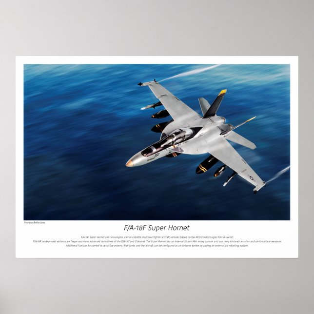 "F/A-18F Super Hornet" Poster (Front)