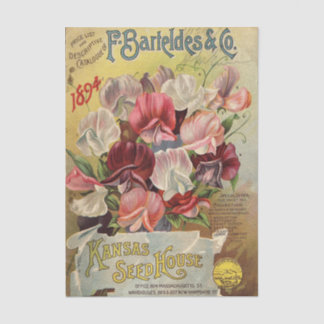 F. Barteldes & Co 1894 Vintage Seed Catalogue Tissue Paper
