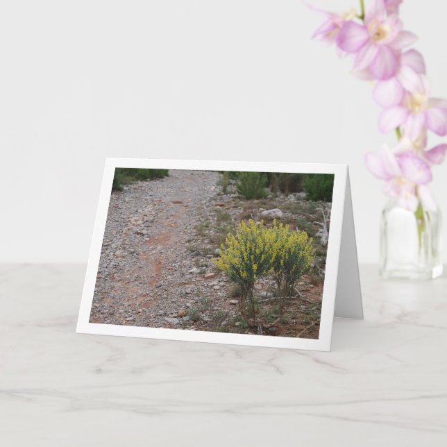 Fabale Plant, Anthyllis Cytisoides Card (Orchid)