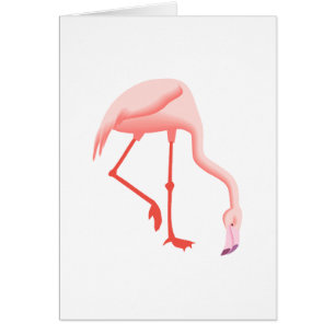 Fabio Flamingo