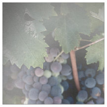 Fabric - Grapes on the Vine