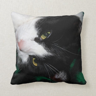 Fabulous Cats! Cushion