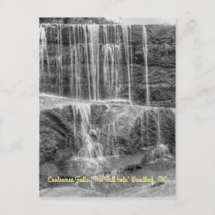 Fabulous Falls Vertical Postcard