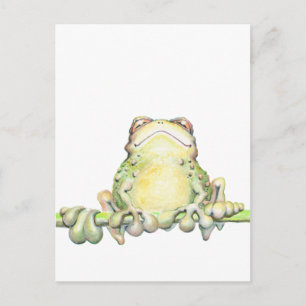 Fabulous Frog Postcard