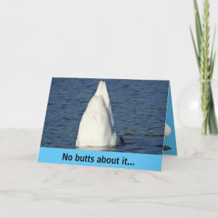 Fabulous Happy Birthday Swan Card