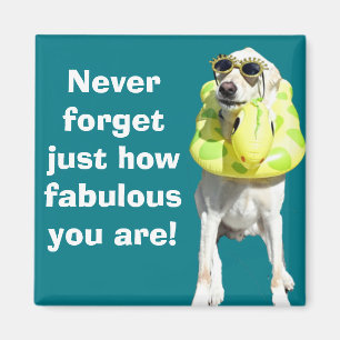 Fabulous Magnet