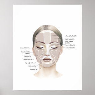 Face Anatomy Beauty Art Poster