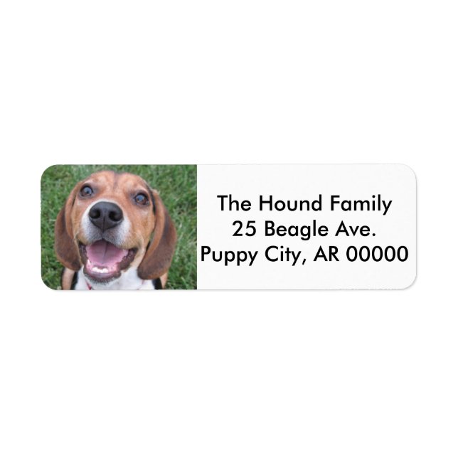 Face Beagle (Front)