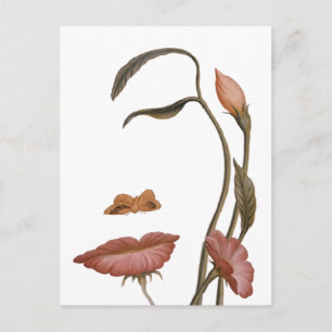 Face Flower Illusion Postcard