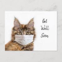 Face mask on Maine Coon cat get well