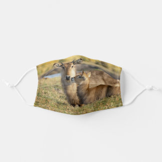 Face Mask young waterbuck