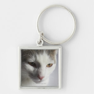 Face of a cat key ring