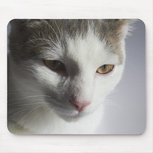 Face of a cat mouse pad (Front)