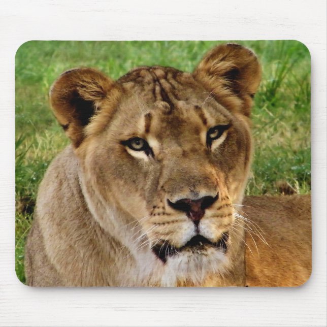 face of a queen mousepad (Front)