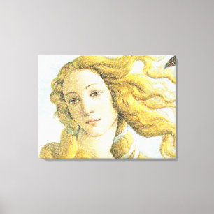 Face of Venus Canvas Print