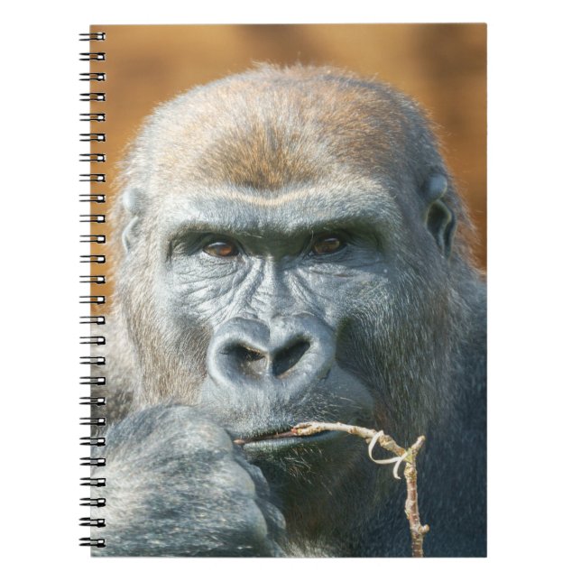 Face-to-Face with a Gorilla Notebook (Front)