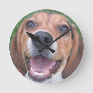 Faced Beagle Puppy Clock