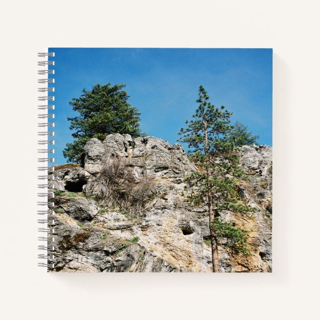 Faces...... Notebook (Front)