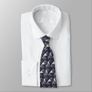 FACES OF TRANSITION tie