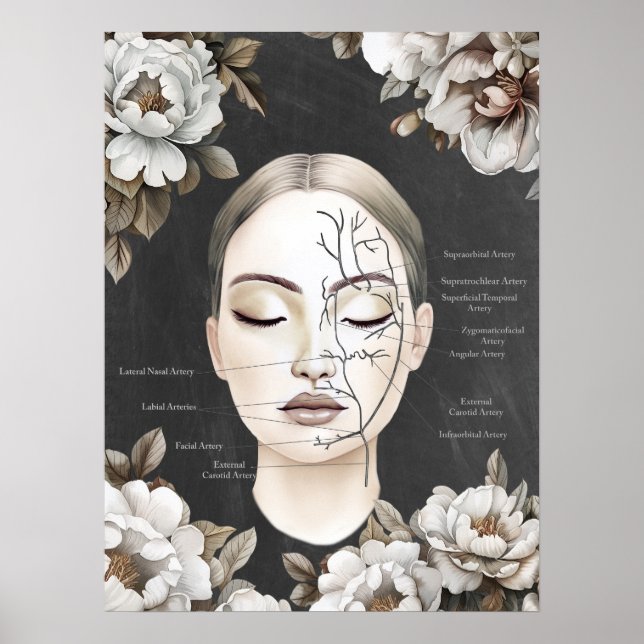 Facial Blood Vessels Face Anatomy Art Poster (Front)