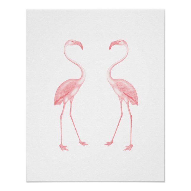 Facing Flamingos Poster (Front)