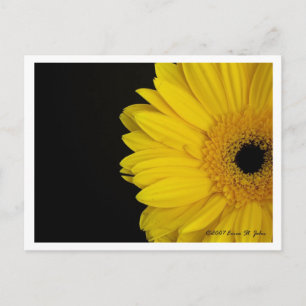 Facing Simpleness Postcard