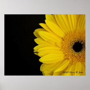 Facing Simpleness Poster