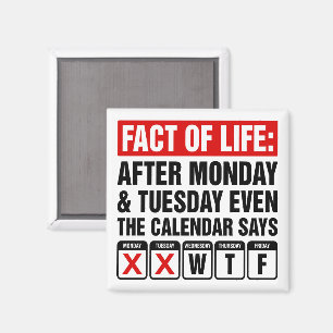 Fact of Life Calendar Says WTF Humour Magnet