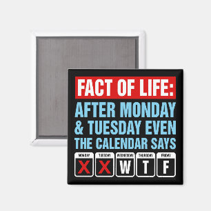 Fact of Life Calendar Says WTF Humour Magnet