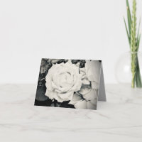 Faded Grey Rose