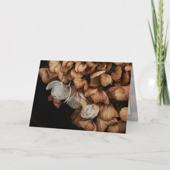 Faded Hydrangea Card (Front)