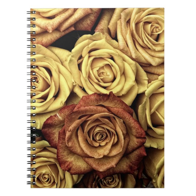 Faded Sepia Roses Notebook (Front)
