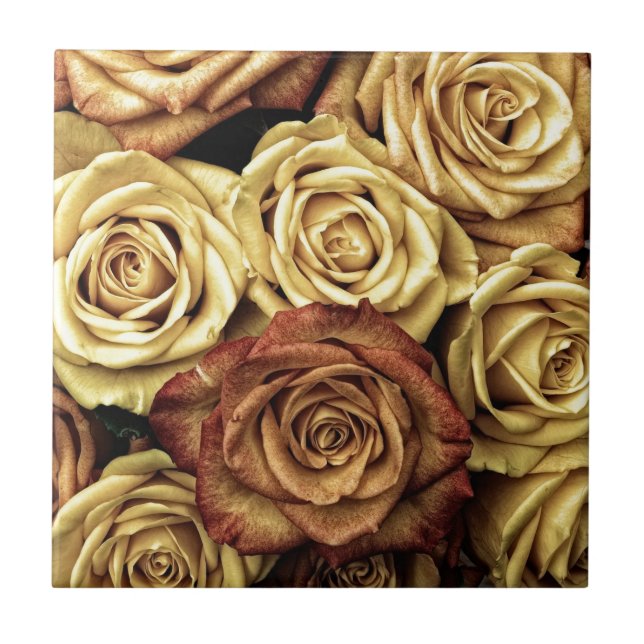 Faded Sepia Roses Tile (Front)