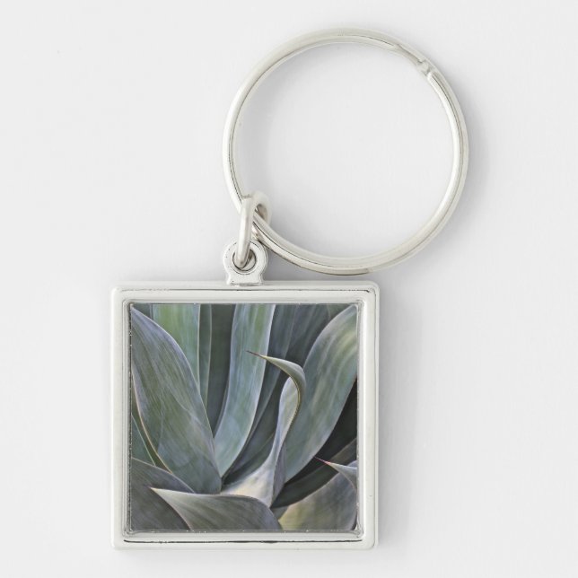 Faded Succulant Detail, 2017 Key Ring (Front)