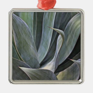 Faded Succulant Detail, 2017 Metal Tree Decoration