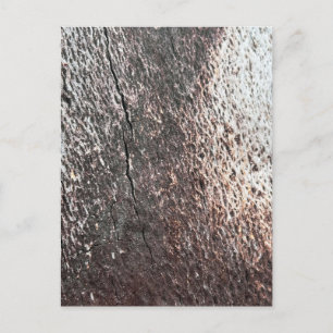 Fading Tree Bark Texture Postcard