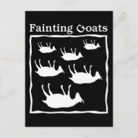 Fainting Goats