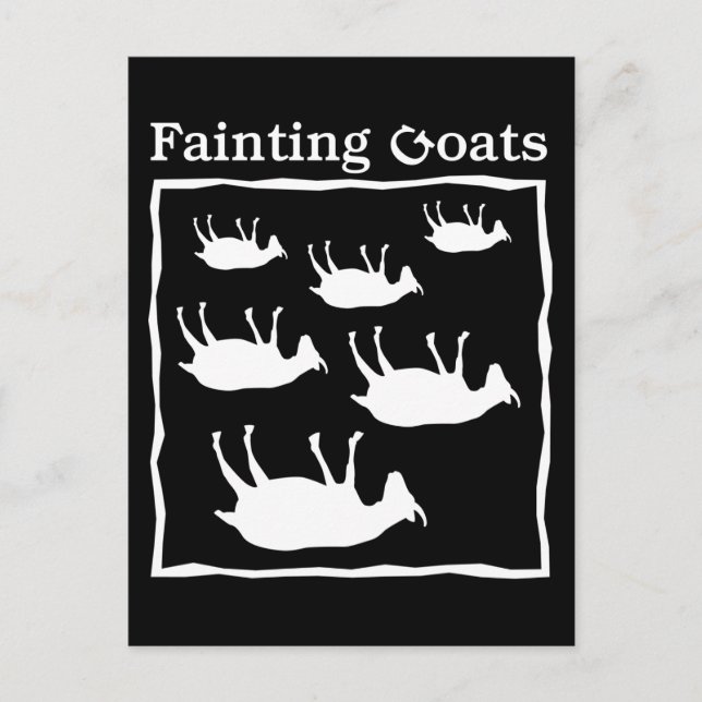 Fainting Goats Postcard (Front)