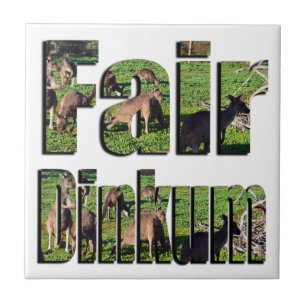 Fair Dinkum Aussie Slang Word With Kangaroos, Tile