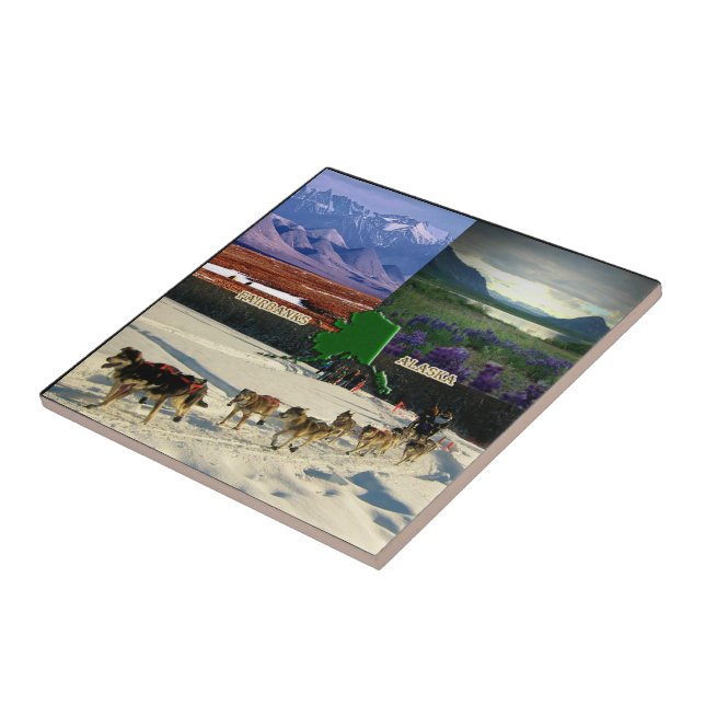 Fairbanks, Alaska Collage Tile (Side)