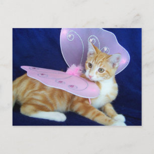 Fairies fly postcard