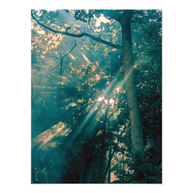 Fairies in the Forest Photo Print (Front)
